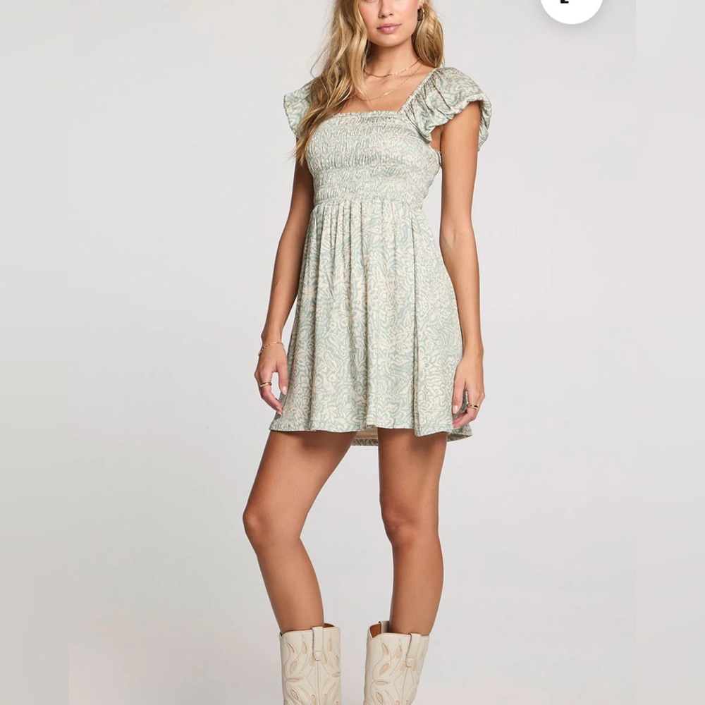 Saltwater Luxe Ashlynn Mini Dress